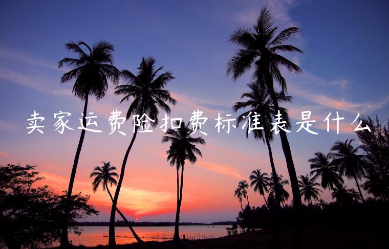 賣家運(yùn)費(fèi)險(xiǎn)扣費(fèi)標(biāo)準(zhǔn)表是什么